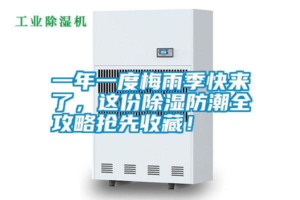 一年一度梅雨季快來了，這份除濕防潮全攻略搶先收藏！