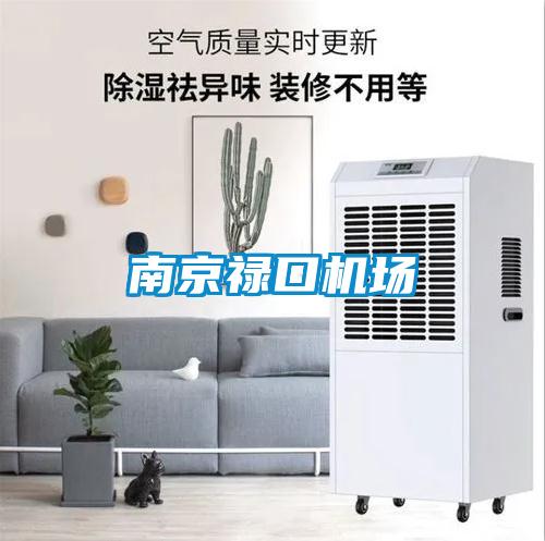 南京祿口機(jī)場