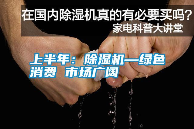 上半年:除濕機—綠色消費 市場廣闊