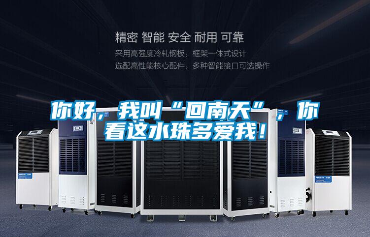 你好，我叫“回南天”，你看這水珠多愛我！