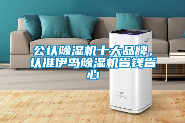 公認除濕機十大品牌,認準(zhǔn)伊島除濕機省錢省心