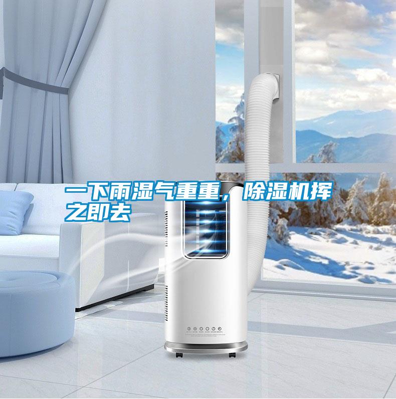 一下雨濕氣重重,除濕機(jī)揮之即去