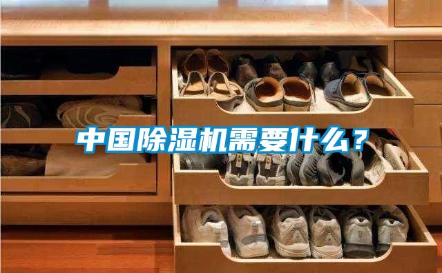中國(guó)除濕機(jī)需要什么?
