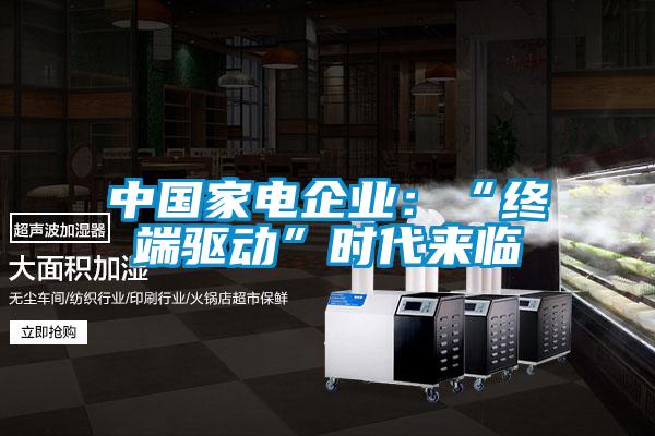 中國(guó)家電企業(yè)：“終端驅(qū)動(dòng)”時(shí)代來(lái)臨