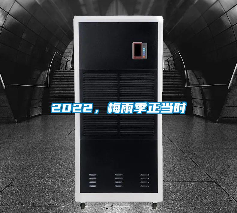 2022,梅雨季正當(dāng)時(shí)