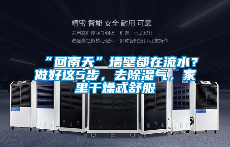 “回南天”墻壁都在流水？做好這5步，去除濕氣，家里干燥忒舒服