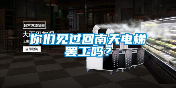 你們見過回南天電梯罷工嗎？