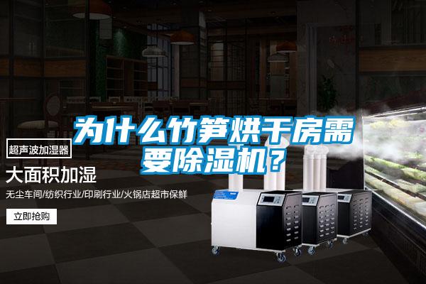 為什么竹筍烘干房需要除濕機(jī)?
