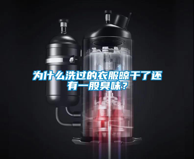 為什么洗過的衣服晾干了還有一股臭味?