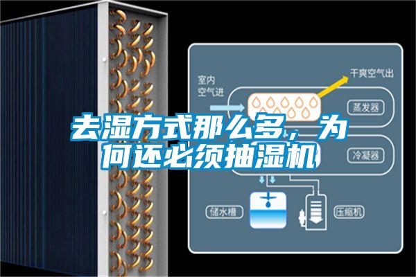 去濕方式那么多，為何還必須抽濕機(jī)