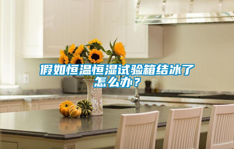 假如恒溫恒濕試驗箱結(jié)冰了怎么辦？