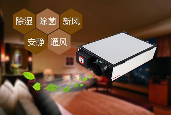 制作花紙的車間倉庫，用工業除濕機顯得尤為重要