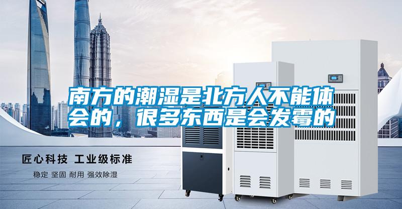 南方的潮濕是北方人不能體會的，很多東西是會發霉的