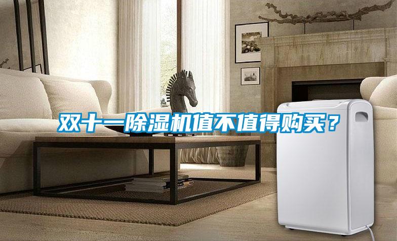 雙十一除濕機值不值得購買？