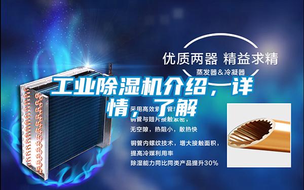 工業(yè)除濕機(jī)介紹，詳情，了解
