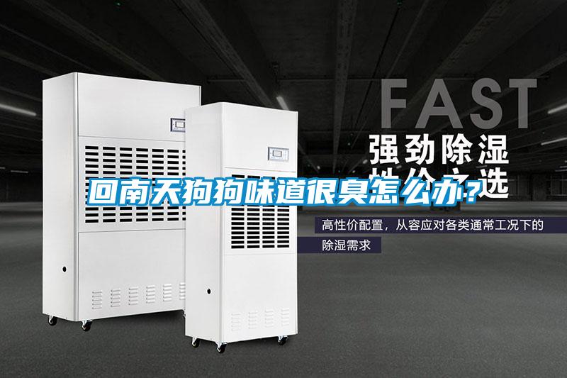 回南天狗狗味道很臭怎么辦?