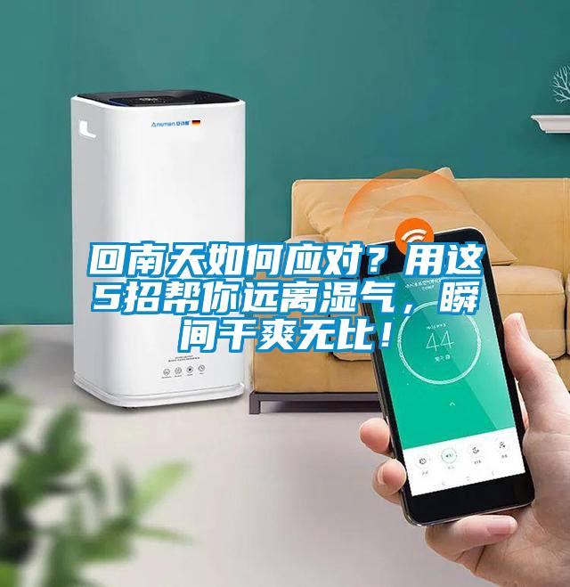 回南天如何應(yīng)對(duì)？用這5招幫你遠(yuǎn)離濕氣，瞬間干爽無比！