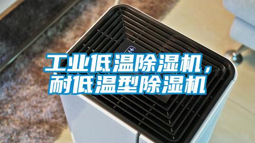 工業(yè)低溫除濕機,耐低溫型除濕機