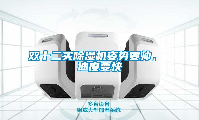 雙十二買(mǎi)除濕機(jī)姿勢(shì)要帥, 速度要快