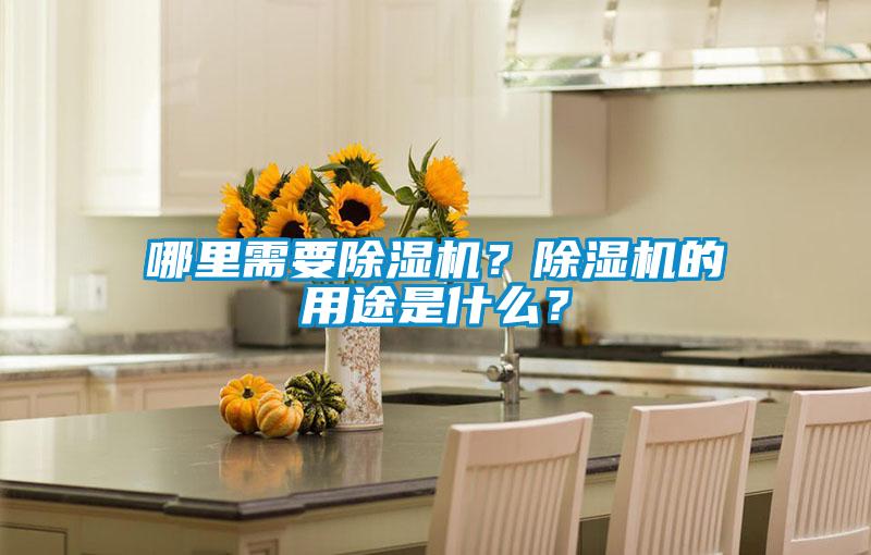哪里需要除濕機(jī)?除濕機(jī)的用途是什么?