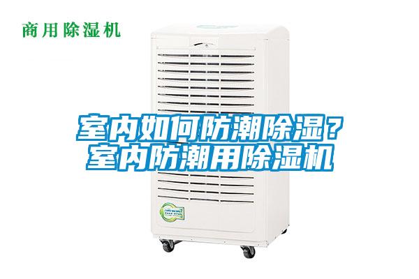室內(nèi)如何防潮除濕？室內(nèi)防潮用除濕機