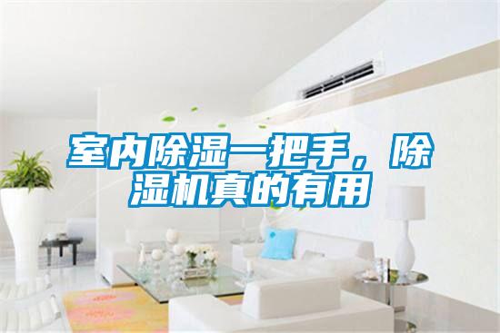 室內(nèi)除濕一把手,除濕機(jī)真的有用