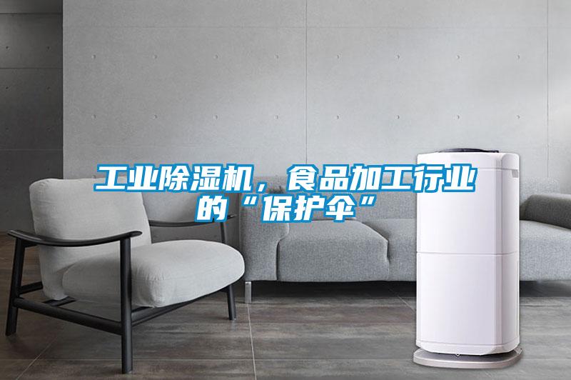 工業除濕機,食品加工行業的“保護傘”