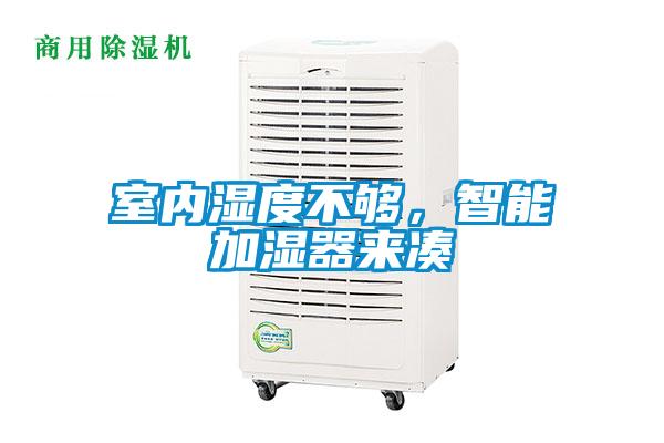 室內(nèi)濕度不夠,智能加濕器來湊