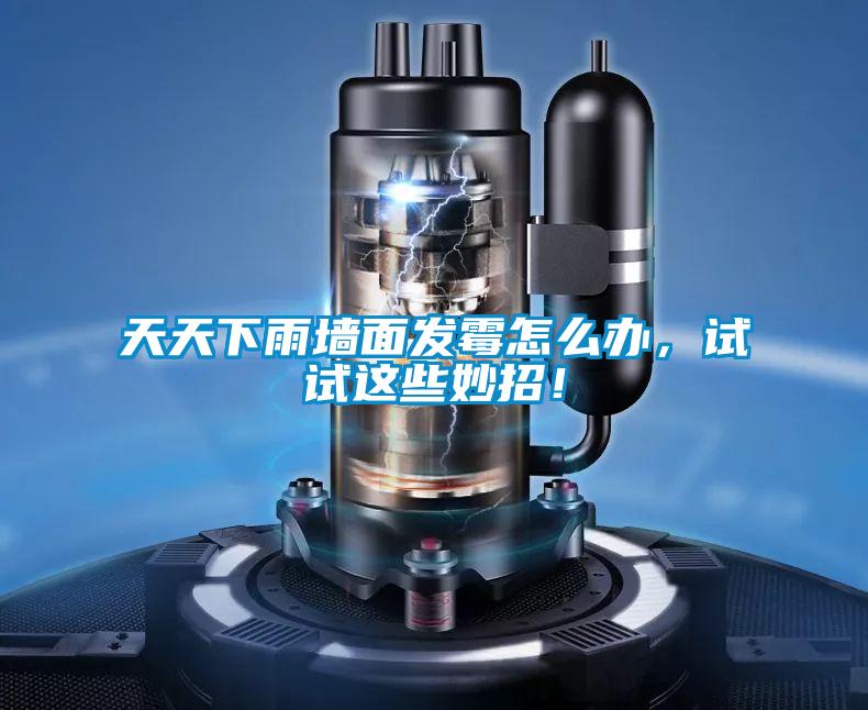 天天下雨墻面發霉怎么辦,試試這些妙招!