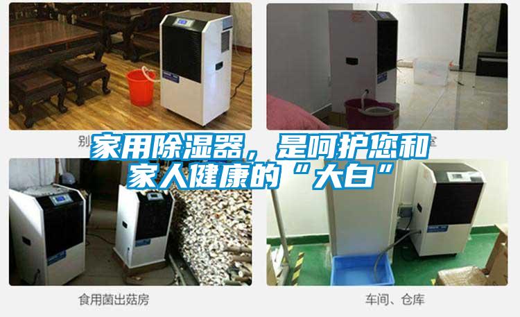 家用除濕器,是呵護(hù)您和家人健康的“大白”