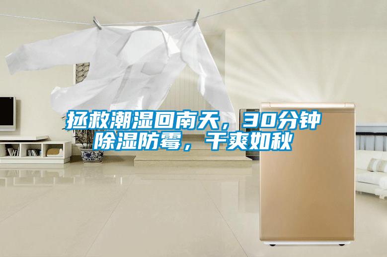 拯救潮濕回南天，30分鐘除濕防霉，干爽如秋