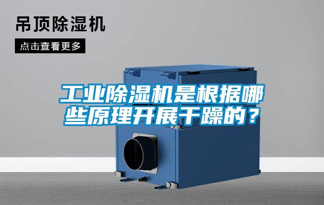 工業除濕機是根據哪些原理開展干躁的？