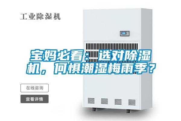 寶媽必看：選對除濕機，何懼潮濕梅雨季？