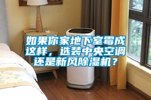 如果你家地下室霉成這樣,選裝中央空調(diào)還是新風(fēng)除濕機(jī)?