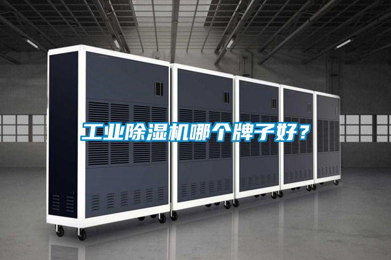 工業除濕機哪個牌子好?