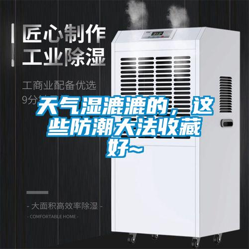 天氣濕漉漉的，這些防潮大法收藏好~