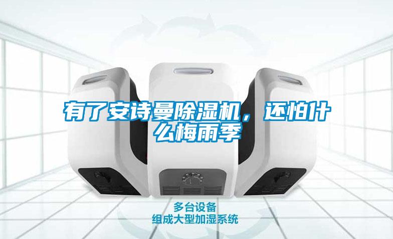 有了安詩(shī)曼除濕機(jī),還怕什么梅雨季