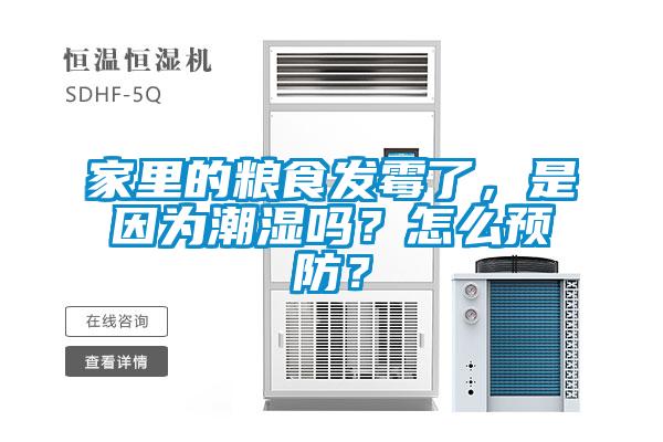 家里的糧食發(fā)霉了，是因?yàn)槌睗駟幔吭趺搭A(yù)防？
