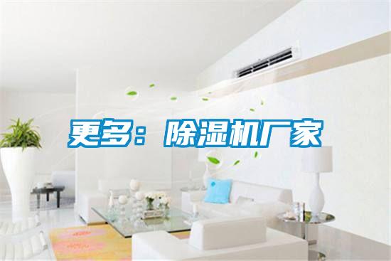 更多:除濕機廠家