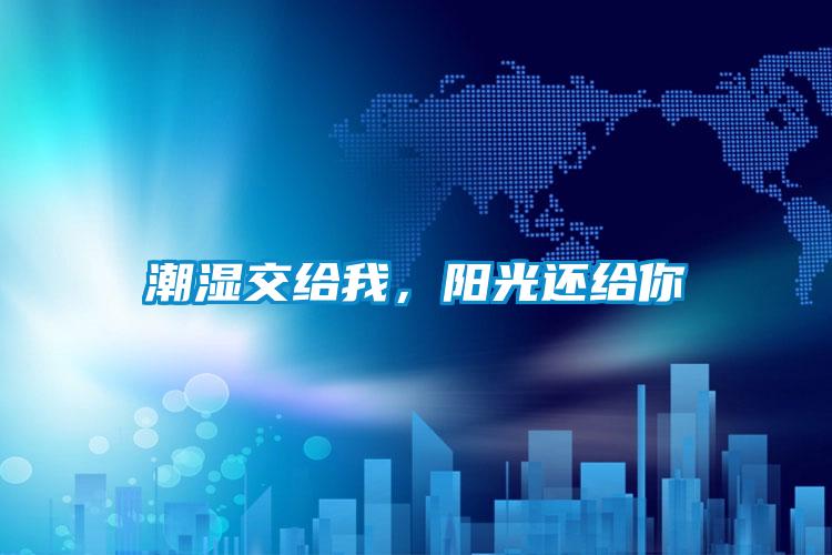 潮濕交給我,陽光還給你