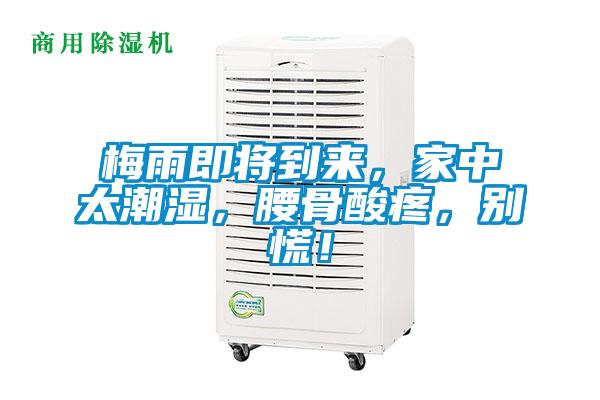 梅雨即將到來，家中太潮濕，腰骨酸疼，別慌！