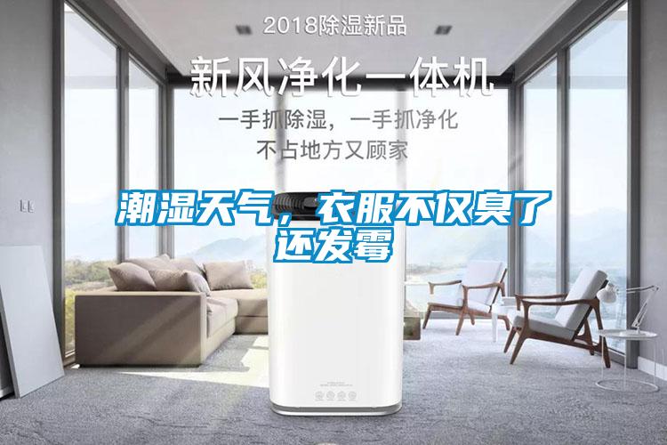 潮濕天氣，衣服不僅臭了還發(fā)霉