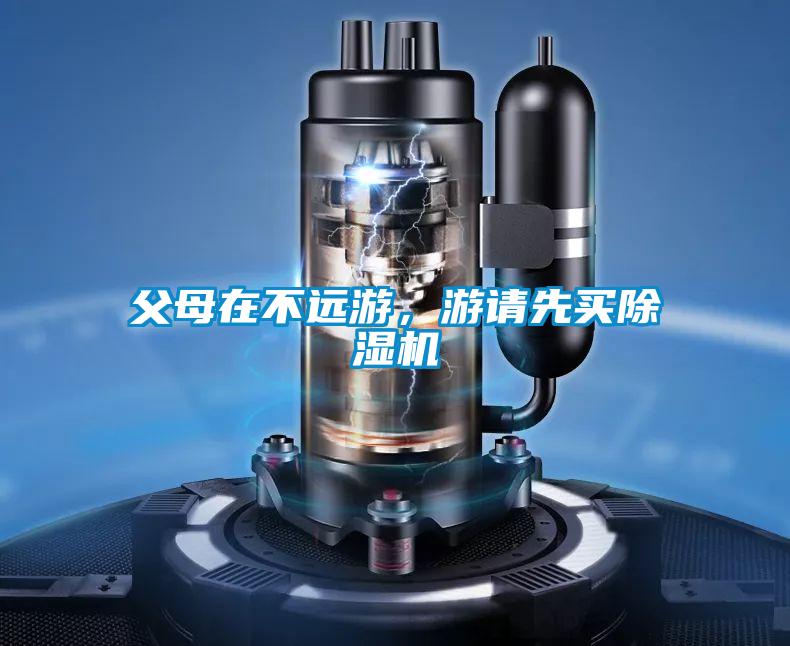 父母在不遠(yuǎn)游,游請先買除濕機(jī)