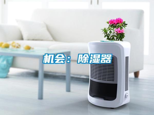 機(jī)會:除濕器