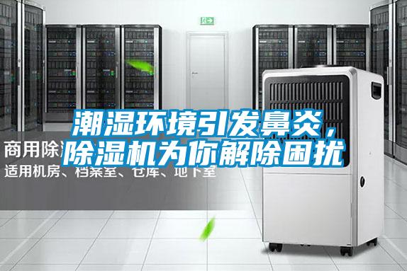 潮濕環(huán)境引發(fā)鼻炎，除濕機為你解除困擾