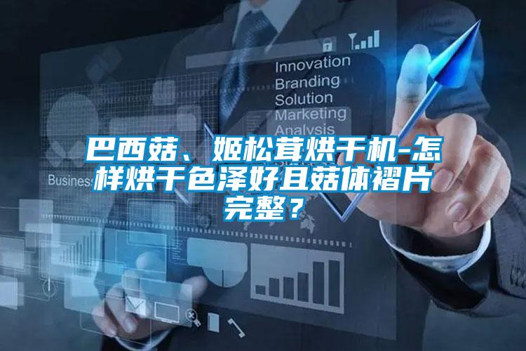 巴西菇、姬松茸烘干機-怎樣烘干色澤好且菇體褶片完整？