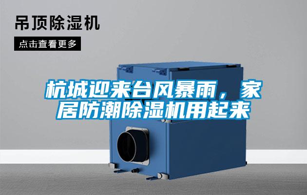 杭城迎來臺風暴雨,家居防潮除濕機用起來