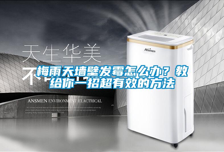 梅雨天墻壁發(fā)霉怎么辦？教給你一招超有效的方法