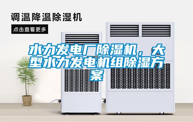 水力發(fā)電廠除濕機,大型水力發(fā)電機組除濕方案