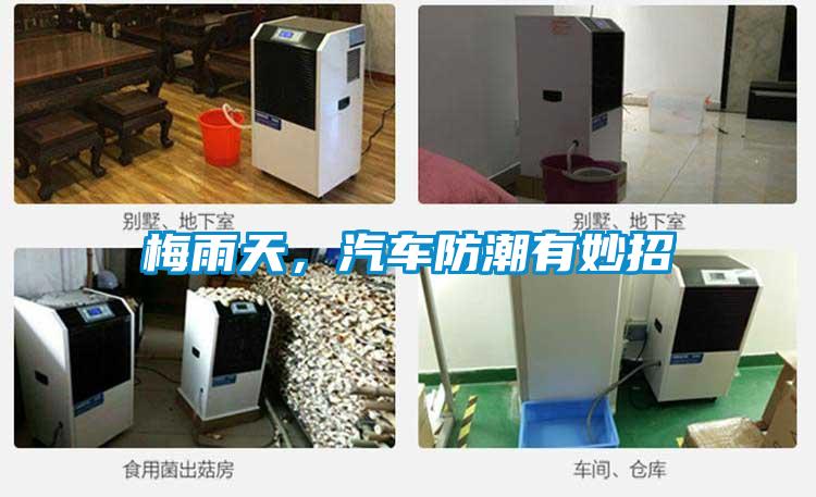 梅雨天，汽車防潮有妙招